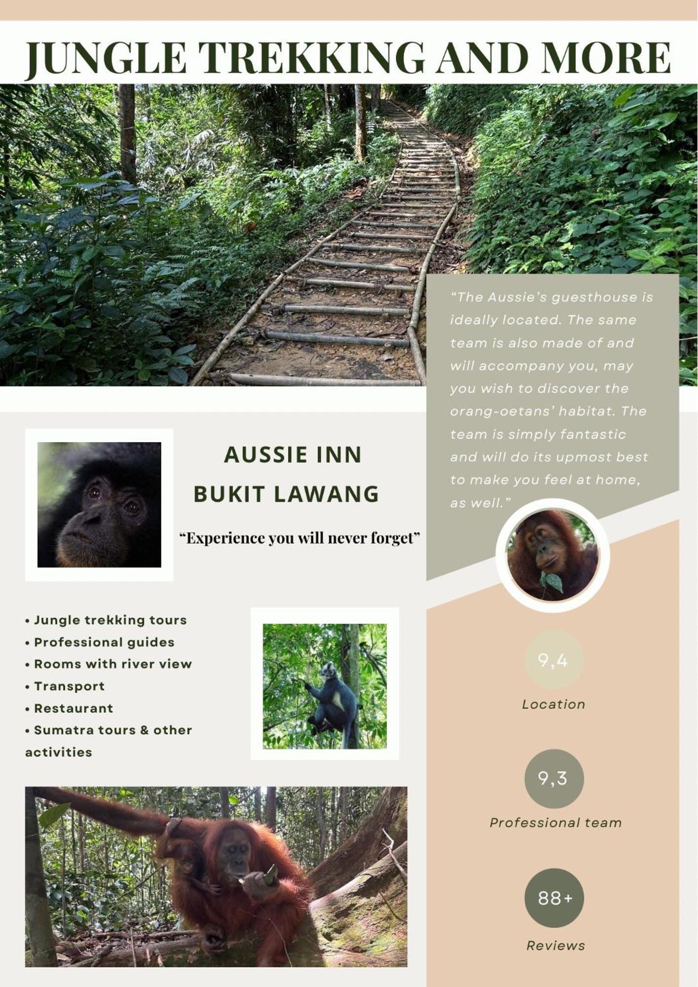 Aussie Inn Bukit Lawang Exterior foto